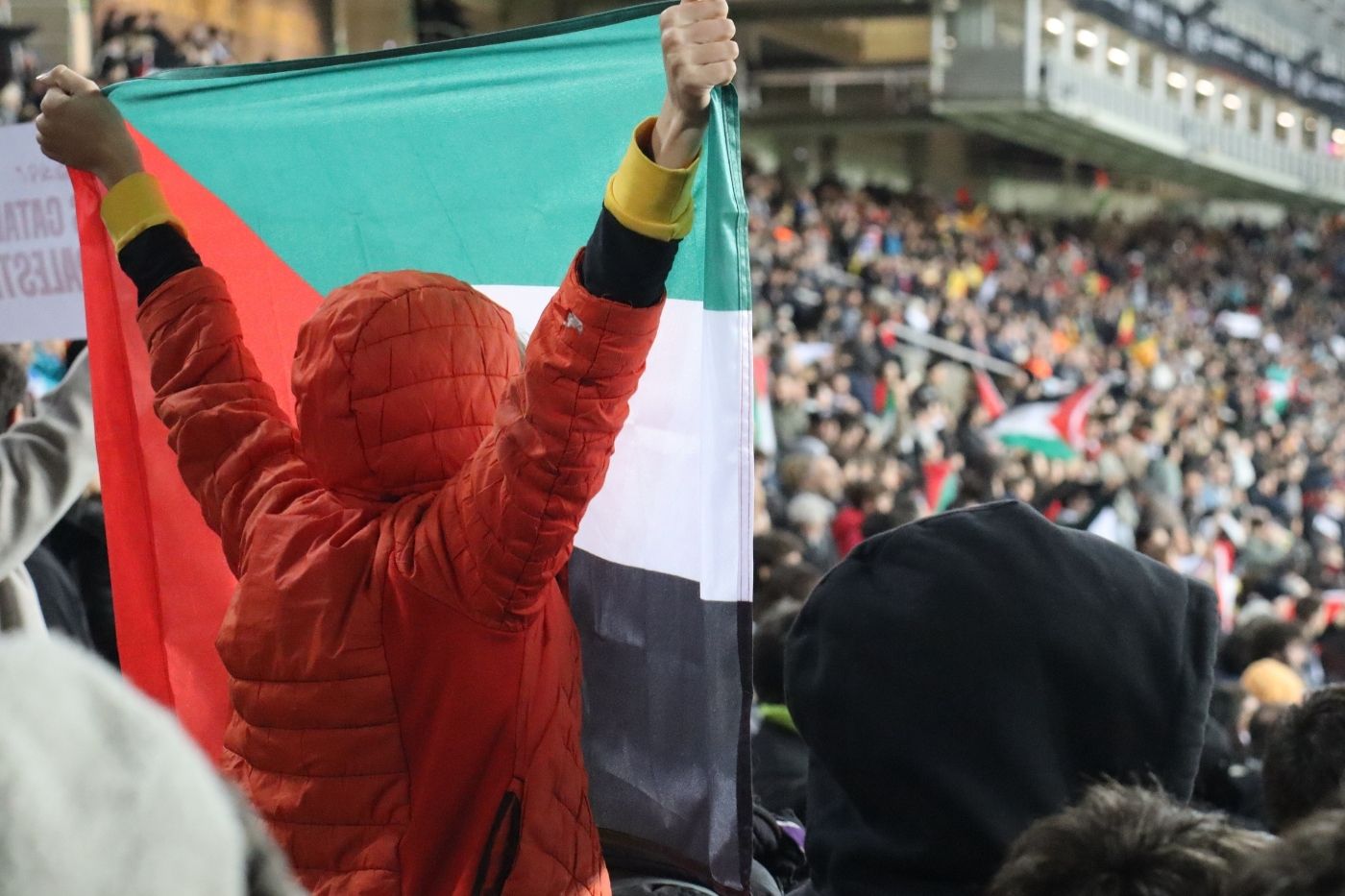 Imagen de galer&iacute;a