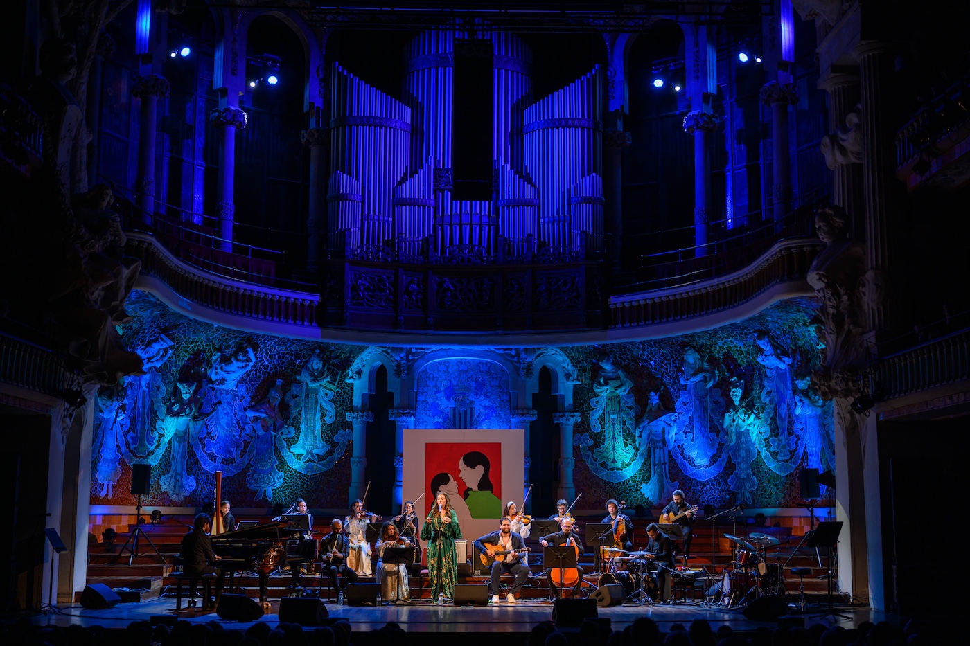 Imagen de galer&iacute;a