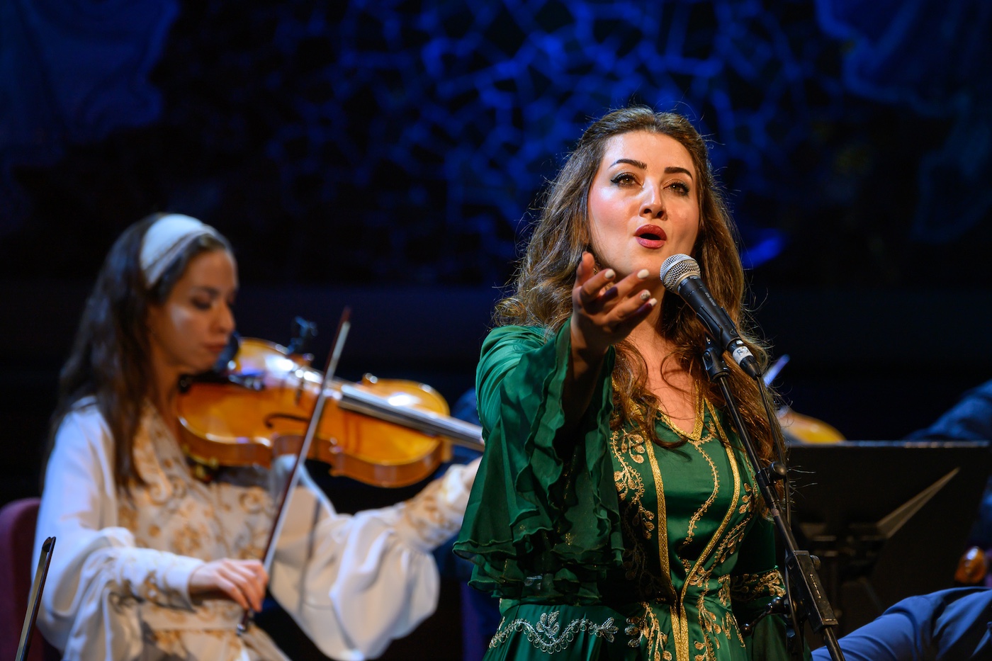 Imagen de galer&iacute;a